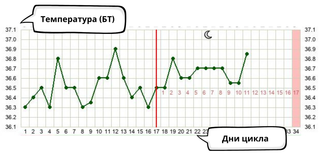 Пример графика базальной температуры на BabyPlan.ru