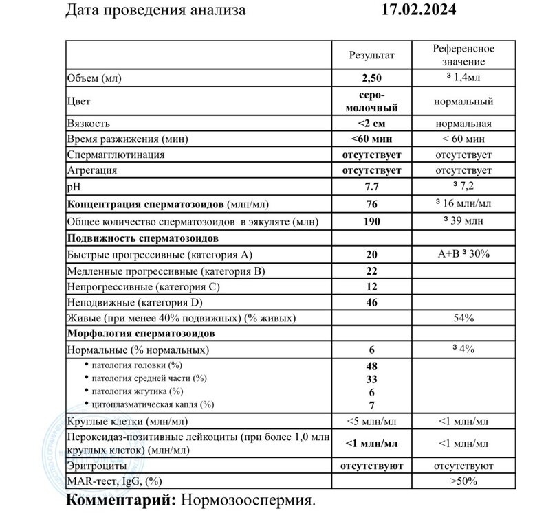 IMG_7042.jpeg