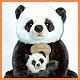 panda-panda