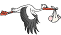 Natkaha