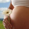 Нет токсикоза при беременности на ранних сроках это нормально форум thumbnail