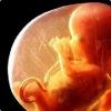 Может ли живот во время беременности уменьшиться thumbnail