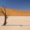/desert/