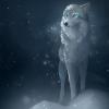 Лунная Волчица