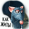 ИрЭнkа